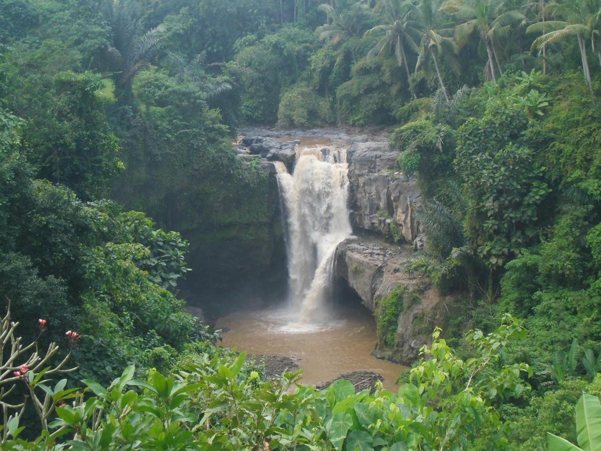 Waterfall Guest House Sukawati Exteriér fotografie